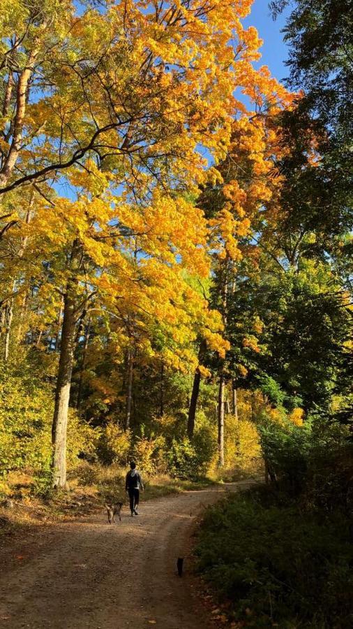 Pokoje Cztery Pory Roku Mikołajki Luaran gambar